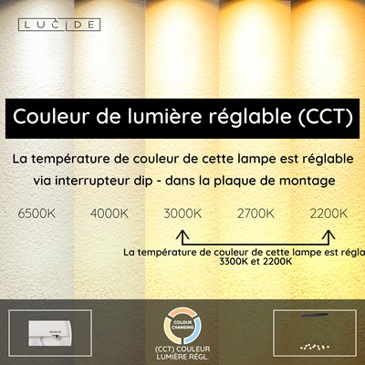 Lucide CALINA - Suspension - LED Dim. - CCT - 12x7W 2200K/3300K - Noir | Premium